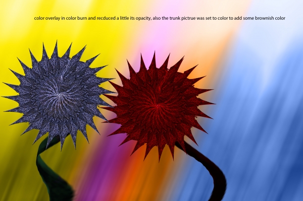 Creation of flowers: Step 6